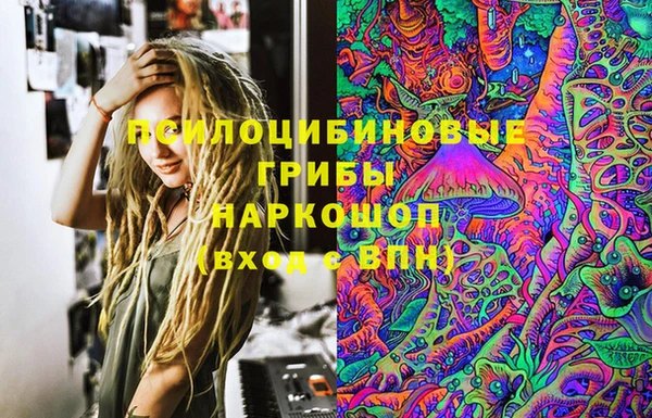 mdpv Богданович