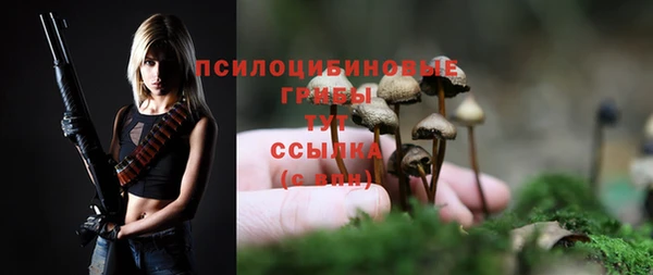 mdpv Богданович