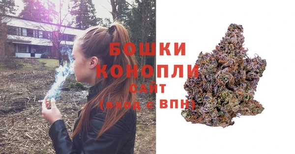 PSILOCYBIN Богородск