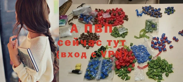 PSILOCYBIN Богородск