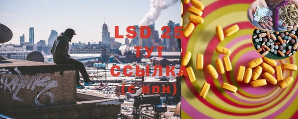 PSILOCYBIN Бугульма
