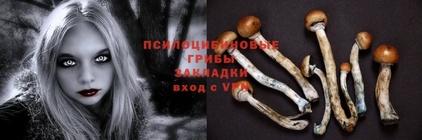 spice Бородино
