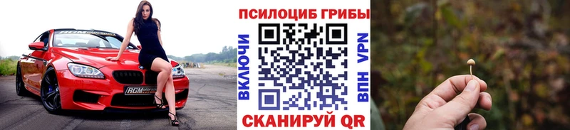 Галлюциногенные грибы прущие грибы  blacksprut как зайти  Среднеуральск  закладка 