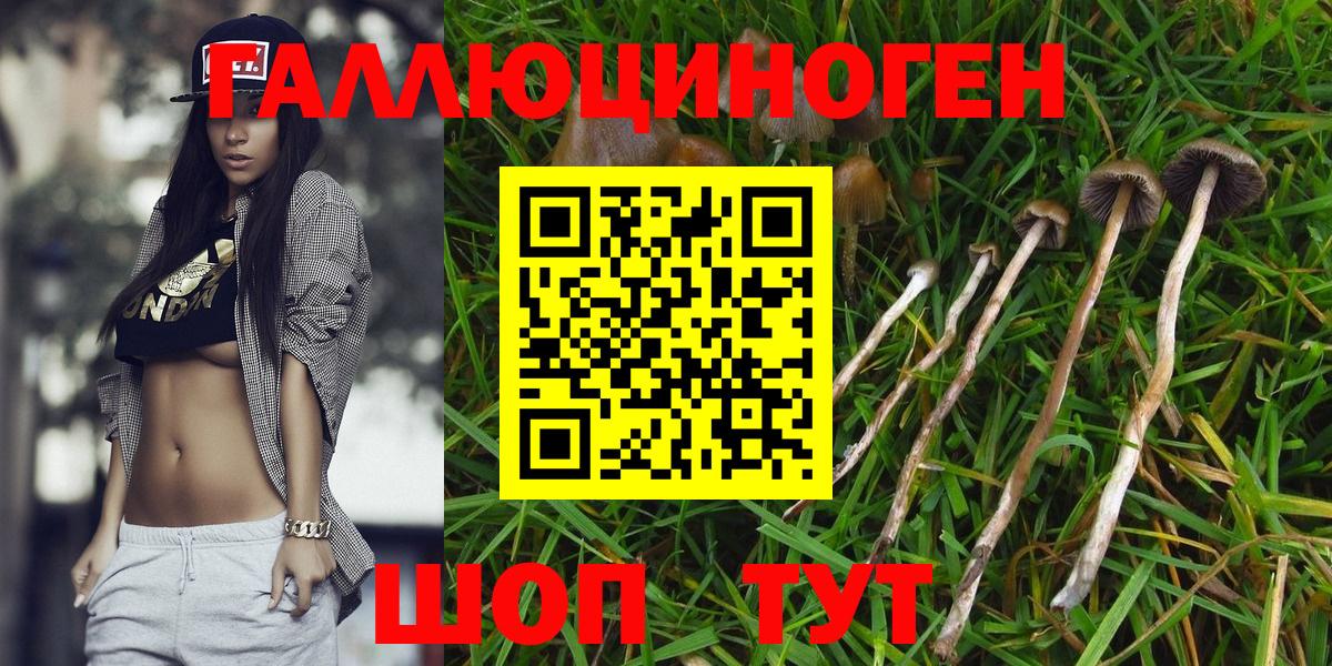 Галлюциногенные грибы MAGIC MUSHROOMS  Галлюциногенные грибы Cubensis  Вход с VPN  Среднеуральск 